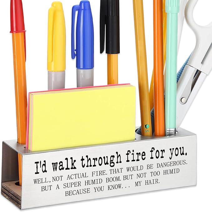 Funny Office for Women, I’d Walk Through Fire for You… But Not Actual Fire, Sarcastic Friendship Gift for Coworkers Friends Office Teams, Workplace Humor Pencil Holder Desk for Desk SD288