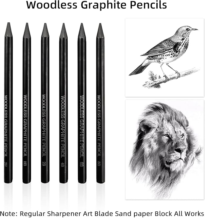 LIVHOLIC Woodless Graphite Drawing Pencils Set,6 Black Lead Pre-Sharpened 2H HB, 2B, 4B, 6B 8B Degrees Coloring Pencils, 50PK Blank Watercolor Card for Sketching,Writing,Shading
