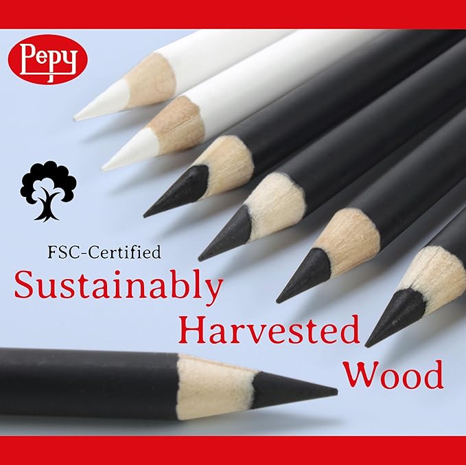 Pepy Professional Soft Charcoal Pencil Set – Set of 6 Pre-Sharpened Black Charcoal Pencils; Perfect for Drawing, Sketching, Blending and Shading
