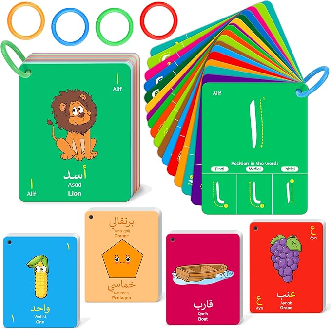 48 Arabic Toddler Flash Cards, Baby Cognitive Flashcards for Kids, Learn Arabic Letters, Number, Color, Shape & Sight Words, Educational Toys with English Transliteration for Preschool Kindergarten