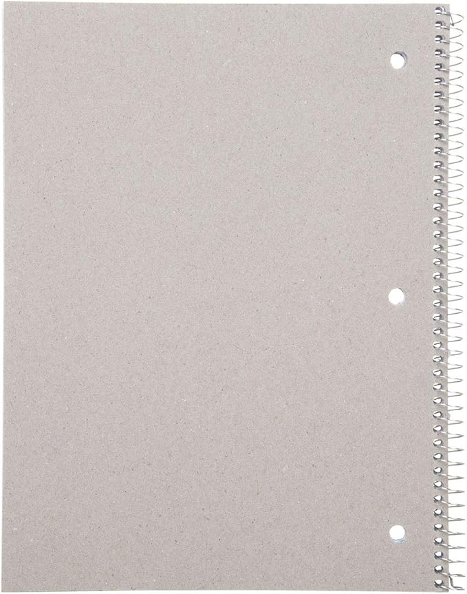 Mintra Office Spiral Notebooks, Wirebound, Journals for School, Work, Business, Aesthetic Stationery, Writing Pads, Teacher & Student Supplies (4, Solid Color, Graph)