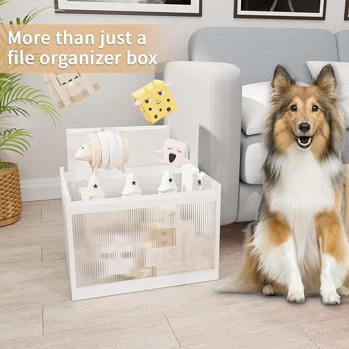 Bamboo Hanging File Boxes with Lids 2 Pack, File Organizer Box for Letter/Legal File, File Box with Hanging Folders Acrylic Light Easy Assembly File Storage Boxes for Office Home, White