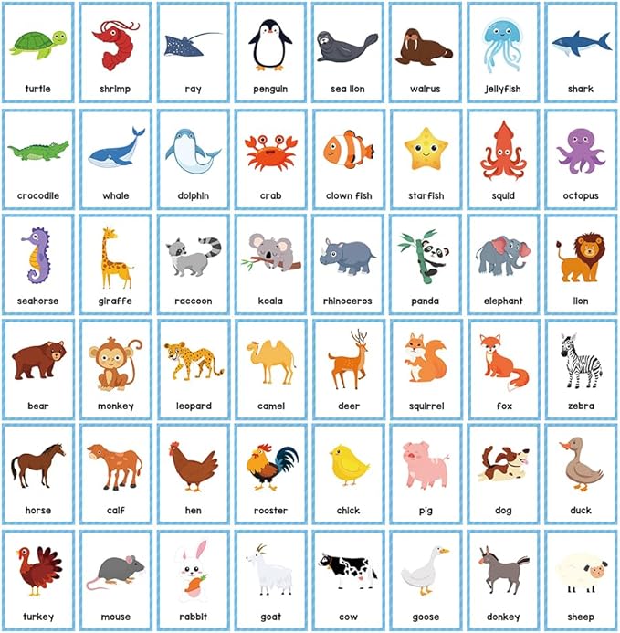 Lachilly Animals Learning Flashcards, High Frequency Words, Beginning Reading, Kindergarten to 1st Grade, ESL Teaching Materials, Autism Learning Materials, Vocabulary Building, 25 Cards, 48 Words