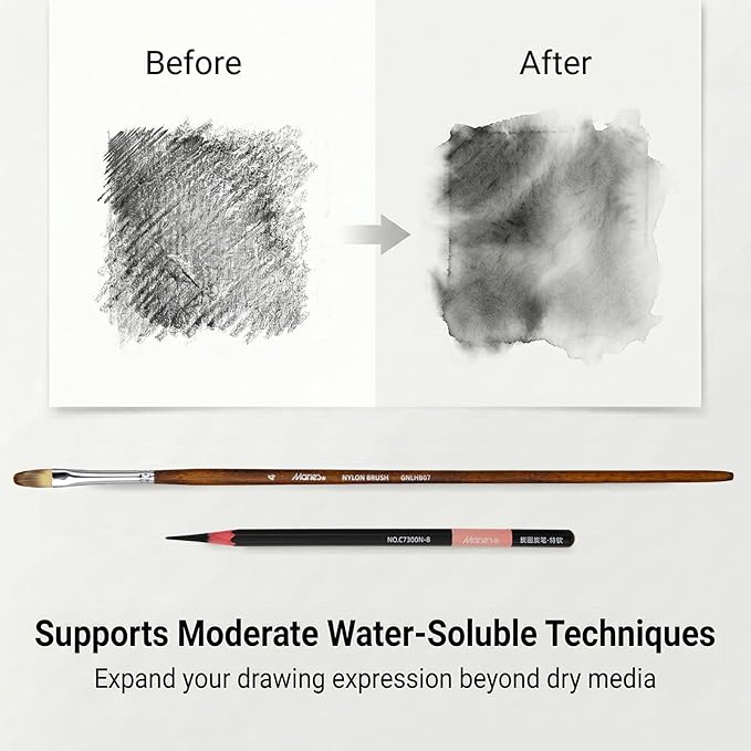 Marie's Charcoal Pencils for Drawing, 10 Pieces, Extra Hard Hard Medium Soft Extra Soft, Sketching Pencils for Artists, Smooth Charcoal Core for Layering, Blending and Detailed Artwork(Extra Soft)