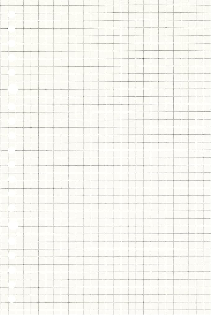 Zelten Loose Leaf Punched Paper Refills Paper for Personal Organizer Diary Notebook Refillable Planner (Squared, A5/20 Hole)