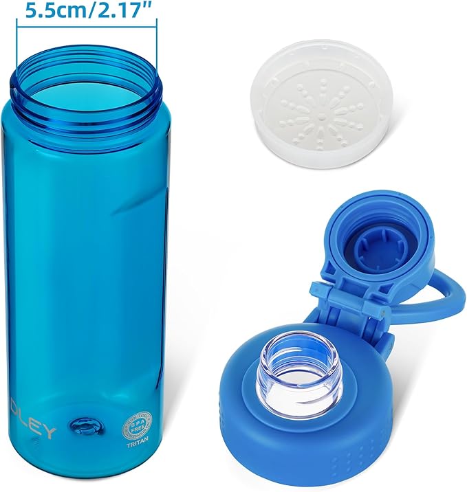 OLDLEY Water Bottles 20oz BPA Free Tritan Water Bottle with Carry Handle and Spout Lid, Leakproof Kids Water Bottle for Home,Travel, School, Outdoors, Blue
