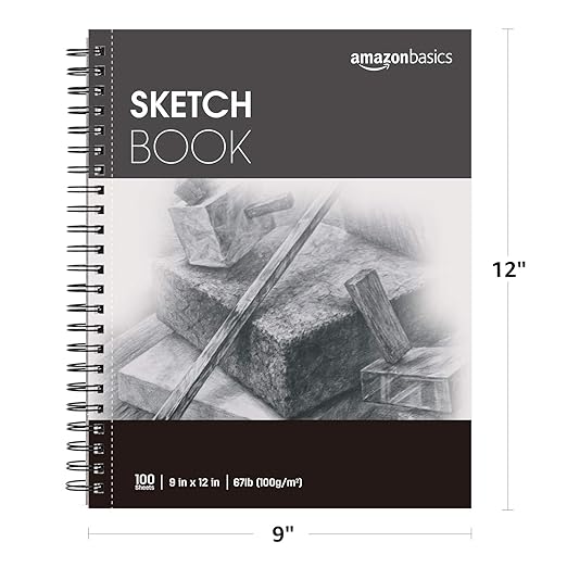 Amazon Basics Sketch Book for Artists, Spiral Bound with Perforated Pages, 67 lb. / 100 gsm, 100 Sheets, 9"x12", White