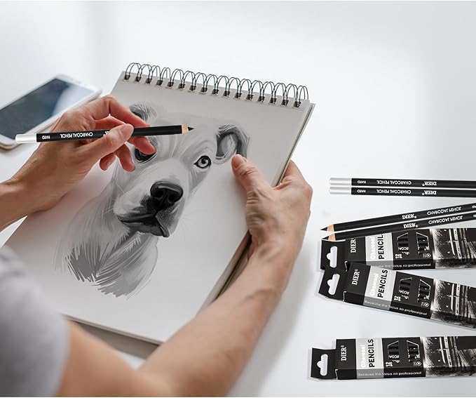 Geyoga 36 Pcs Professional Charcoal Pencils Soft, Medium and Hard for Drawing Charcoal Pencils for Sketching Shading Drawing Blending Portrait(Black, Medium)