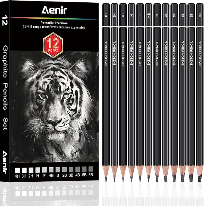 Aenir Sketch Pencils for Drawing, Set of 12 Drawing Pencils for Sketching Medium (6B - 4H), Artist Graphite Pencils, Sketch Set for Artists for Sketching Supplies, Art Supplies.