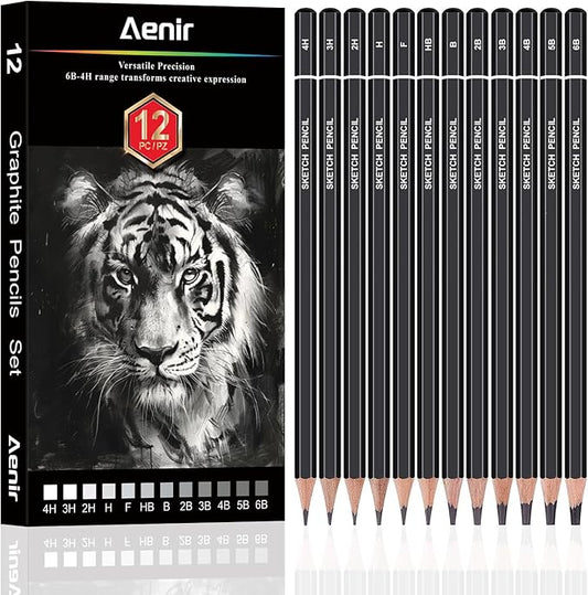 Aenir Sketch Pencils for Drawing, Set of 12 Drawing Pencils for Sketching Medium (6B - 4H), Artist Graphite Pencils, Sketch Set for Artists for Sketching Supplies, Art Supplies.