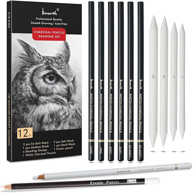 Brusarth Charcoal Drawing Set -12 pc Black charcoal pencils, White Charcoal Pencils, Eraser Pencils, Blending Stumps for Drawing, Sketching, Shading, Artist Pencils for Beginners & Artists