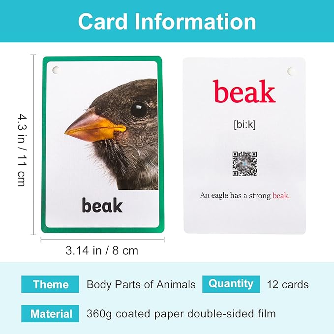Lilias Body Parts of Animals Flash Cards, Toddler Learning Toys, Preschool Learning Toys, Homeschool Supplies, Learning Supplies for Kindergarten, 4.3 X 3.14 Inch, 12 Cards in Set
