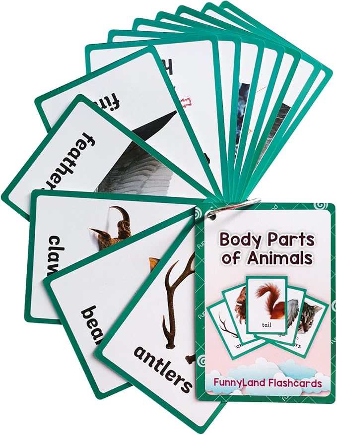 Lilias Body Parts of Animals Flash Cards, Toddler Learning Toys, Preschool Learning Toys, Homeschool Supplies, Learning Supplies for Kindergarten, 4.3 X 3.14 Inch, 12 Cards in Set
