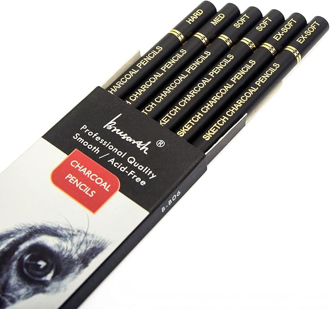 Brusarth Professional Charcoal Pencils Drawing Set - 6 Pieces Soft Medium and Hard Charcoal Pencils for Drawing, Sketching, Shading