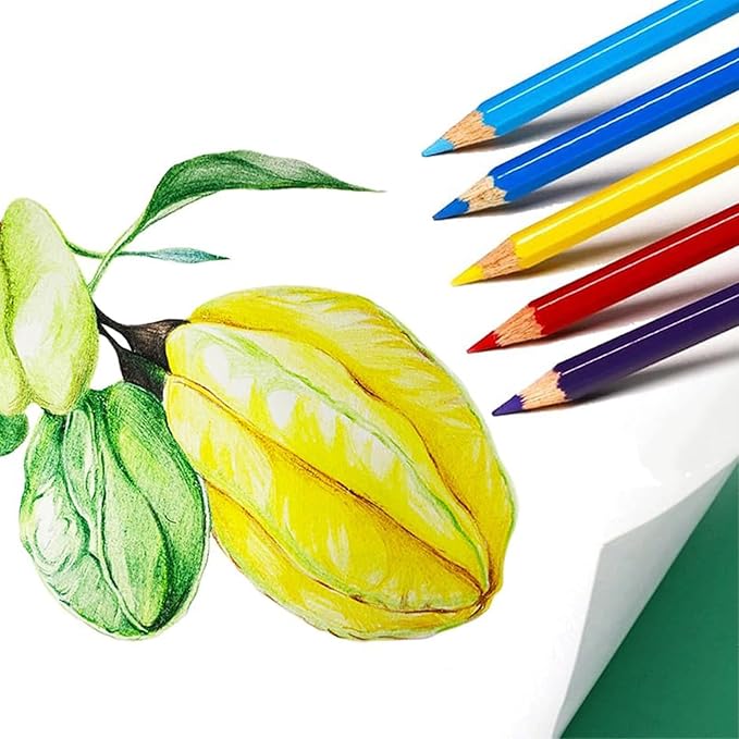 SKKSTATIONERY 50Pcs Colored Pencils,50 Vibrant Colors, Drawing Pencils for Sketch, Arts, Coloring Books, Back to school Christmas Gifts
