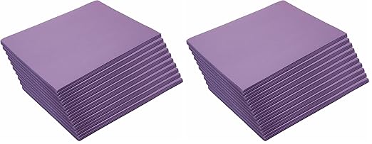 Colorations Construction Paper,Violet,9 inches x 12 inches,500 Sheets,Heavyweight Construction Paper,Crafts,Art,Kids Art,Painting,Coloring,Drawing,Creating,Paper,Art Project,All Purpose (Pack of 2)