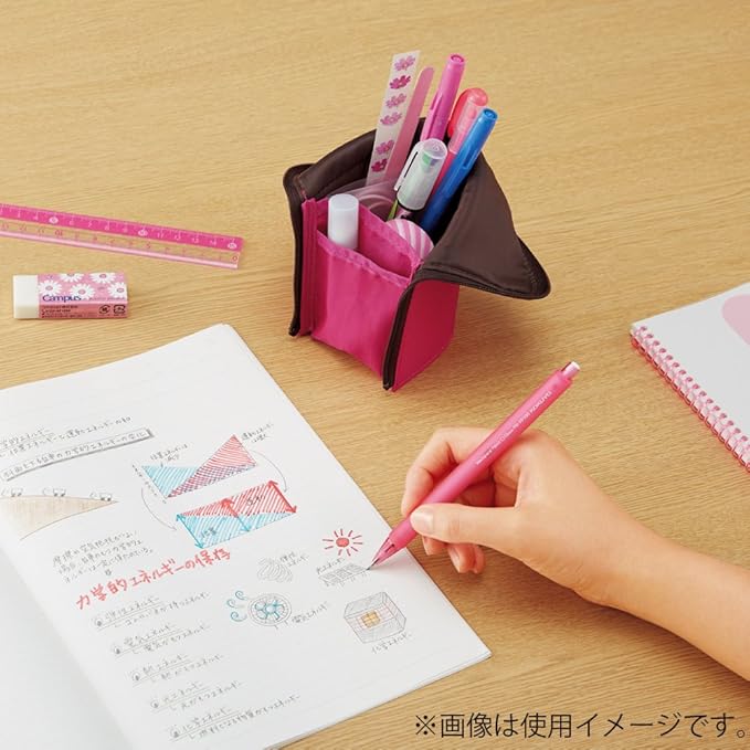 KOKUYO Neo Critz Pen Case, Regular Size, Black x Black, Japan Import (F-VBF180-1)