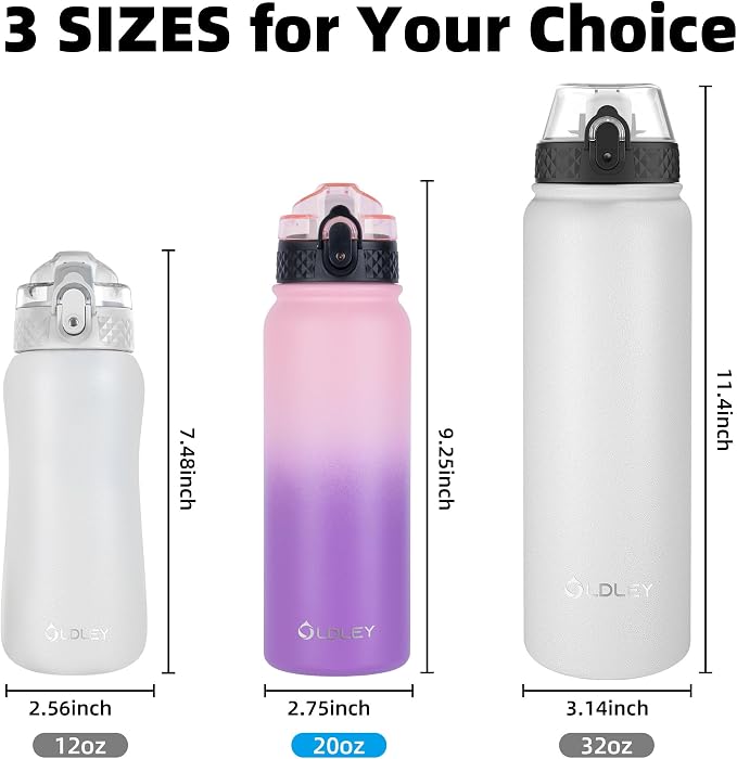Oldley Insulated Water Bottle 20oz Water Bottles with Straw, Stainless Steel Water Bottle with 3 Lids, Double Wall Vacuum Bottles for Adult Kids, Sports Bottles for School Travel, Ombre Pink-Purple