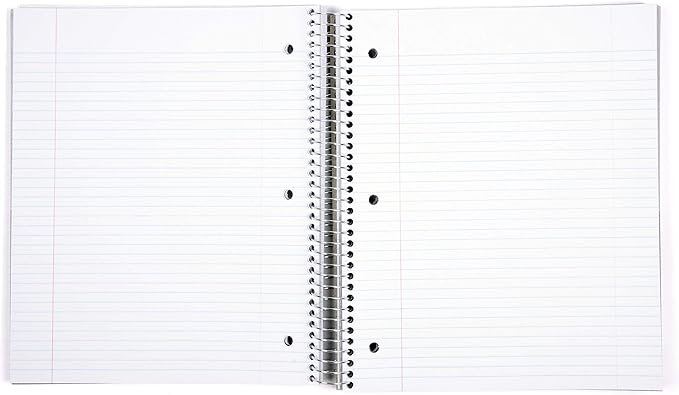 Mintra Office Durable Spiral Notebooks, 5 Subject (Green, College Ruled 1pk)