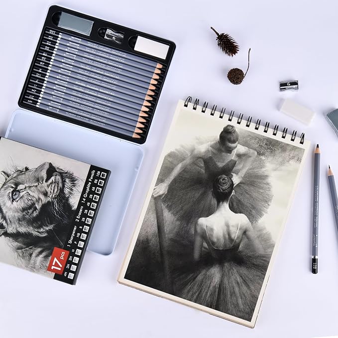 Brusarth Professional Sketch Pencils for Drawing Set - Graphite Pencils (4H-10B), Graphite Sticks, Erasers and Sharpener, Art Pencils for Sketching- Ideal for Artists and Beginners,17Pcs