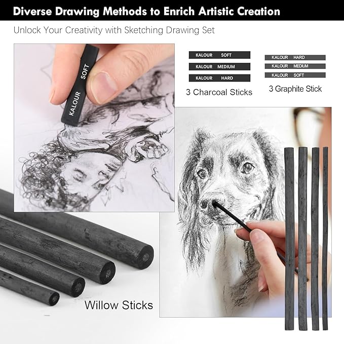 KALOUR PDAS 39pcs Drawing Pencil Set, Professional Sketch Pencils (5H-14B), Black and White Charcoal Pencils for Sketching, Eraser Brush Pen, Charcoal Sticks, Art Pencils Set for Artists & Beginners