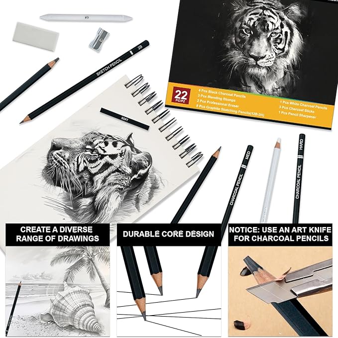 Aenir Charcoal Pencils for Drawing, Set of 22, Professional Drawing Sketch Pencils, Charcoal Art Supplies for Sketching, Shading, Artist Charcoal Supplies for Beginners & Pro Artists.