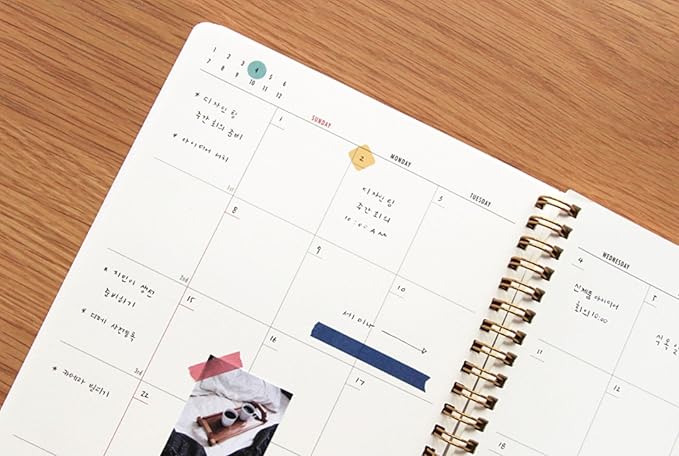 PAPERIAN Brilliant Monthly & Weekly Planner - Wirebound Undated Monthly &Weekly Planner Book Scheduler Diary (Shell Pink)