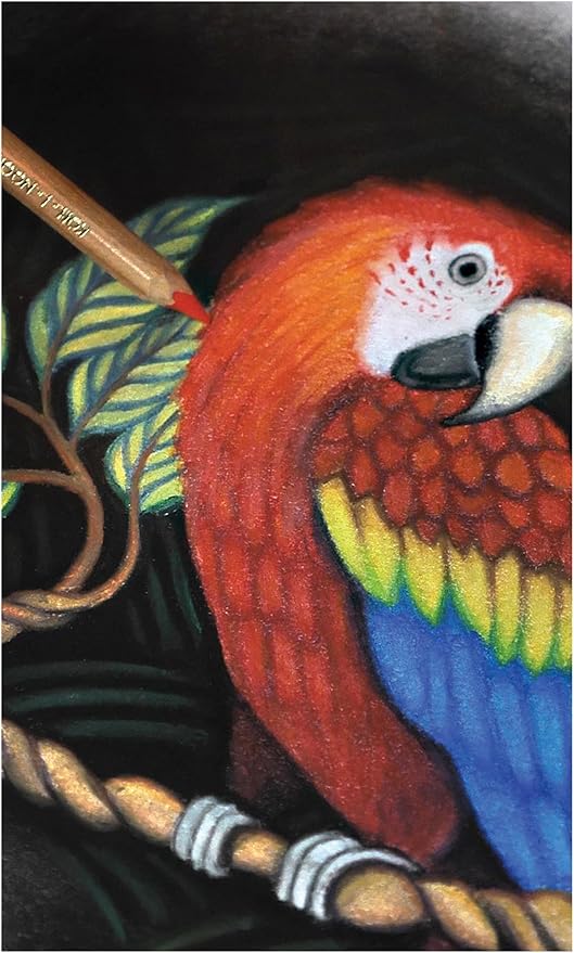 Koh-I-Noor Polycolor Drawing Pencil Set, 48 Assorted Colors in Tin, 1 Each (FA3826)