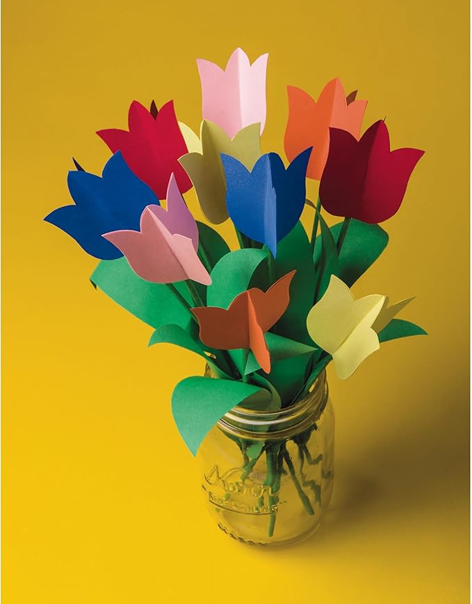 Tru-Ray Pacon 9-inch x 12-inch Construction Paper, Assorted Colors, 50 Sheets/Pack, /Pad (P1000046)