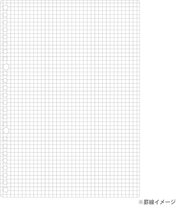 Maruman L1207H Loose Leaf B5 Square 0.2 inch (5 mm), 100 Pieces, Set of 5