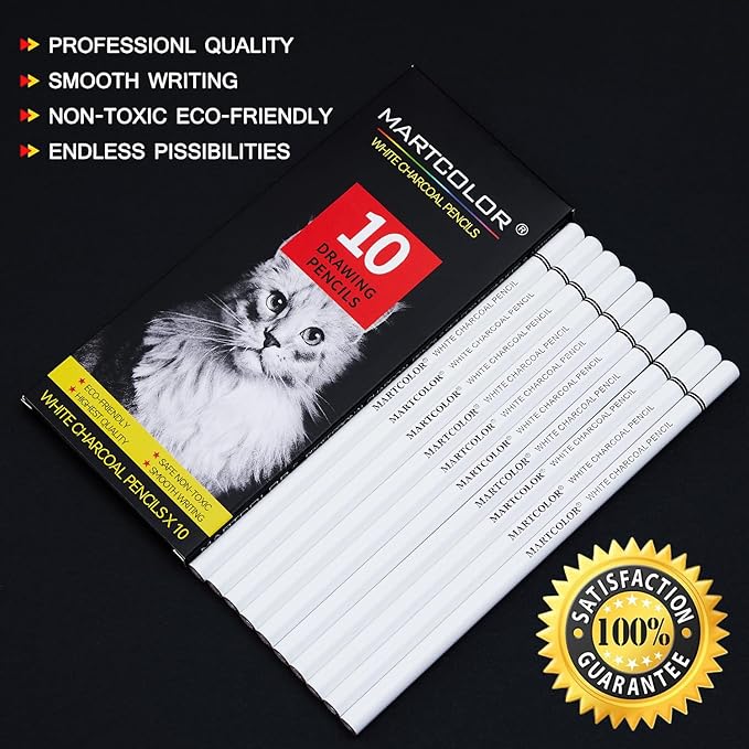 MARTCOLOR Professional White Charcoal Pencils Set, 10 Pieces Sketch Highlight Charcoal Pencils for Drawing, Sketching, Shading, Blending, White Chalk Pencils for Beginners & Artists