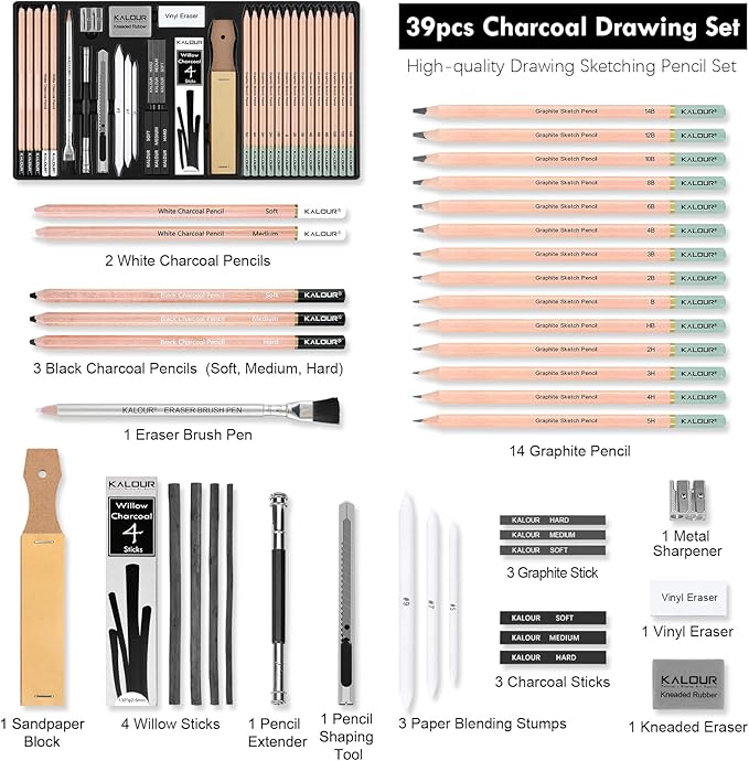 KALOUR PDAS 39pcs Drawing Pencil Set, Professional Sketch Pencils (5H-14B), Black and White Charcoal Pencils for Sketching, Eraser Brush Pen, Charcoal Sticks, Art Pencils Set for Artists & Beginners