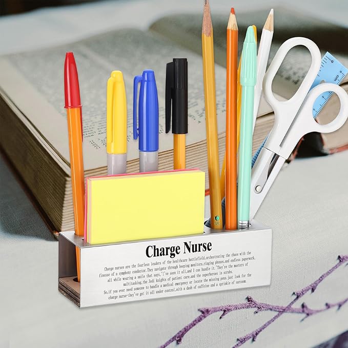 Funny Charge Nurse Appreciation Gift for Head Nurses Healthcare Leaders, Nurse Office Décor for Hospital Workstations, Medical Professional Humor Gift, office Pencil Holder Desk for Desk SD280