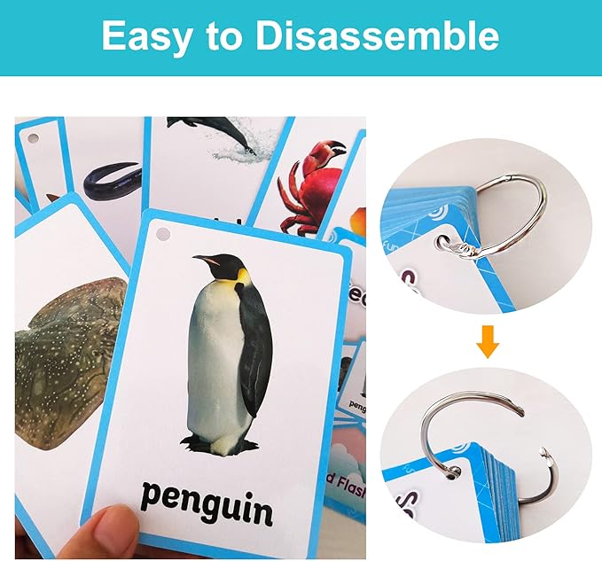 Lilias Sea Animals Flash Cards, Toddler Learning Toys, Preschool Learning Toys, Homeschool Supplies, Learning Supplies for Kindergarten, 4.3 X 3.14 Inch, 20 Cards in Set