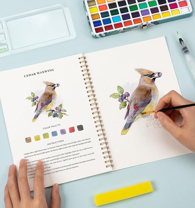 Watercolor Workbook Birds, Water Coloring Book, 12 Different Patterns of Original DIY Designs, 50 Colors Watercolor Paint Set with Palette and Brush, Beginner-Friendly Watercolor Workbooks (Birds)