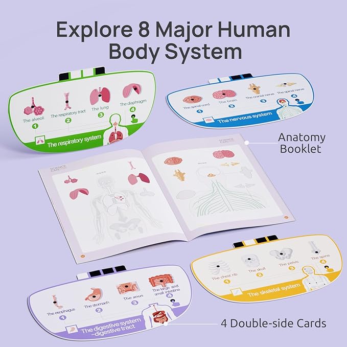 Science Can Human Body Model for Kids, Interactive Human Anatomy Talking Model - 11 Inch Realistic Anatomical Assembly Kit, 15PCS Removable Parts & Guide, Educational STEM Toys Gifts for Kids Aged 6+