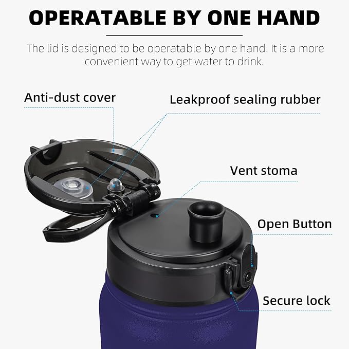 Fanhaw 20 oz Insulated Stainless Steel Water Bottle with Anti-Dust Chug Lid, Leakproof Vacuum Metal Everyday Use Bottle for Kids, Teens & Adults, Back to School Essentials (Purple Green)