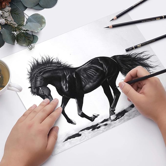 MARKART Professional Charcoal Pencils Drawing Set - 10 Pieces Soft Medium and Hard Charcoal Pencils for Drawing, Sketching, Shading