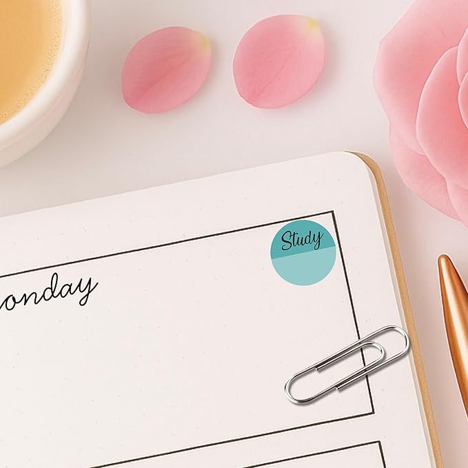 Student Planner Stickers / 48 Vinyl Decal (1/2”) - School College Academic Teacher Planner - Educational Stickers Planner/Essential Productivity Life Planner Stickers (Study, 1 Sheet)