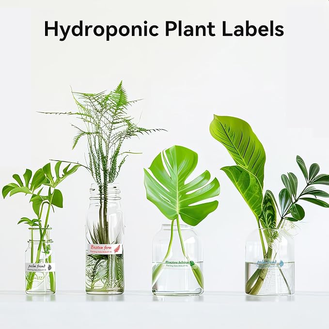 NIIMBOT Plant Label 13×45mm (0.51'' x 1.77''), Only for N1(B18) Label Maker | Suitable for Outdoor Indoor Plant Potted Tag, PET Material, Long Storage, Waterproof and High-Temperature Resistance, Clear