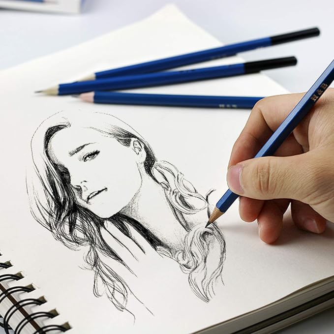 H & B 12 PCS Pencil Drawing Kit, H-4H, F, HB, B-6B Graphite and Charcoal Sketch Pencil Set for Beginners, Professional Artists