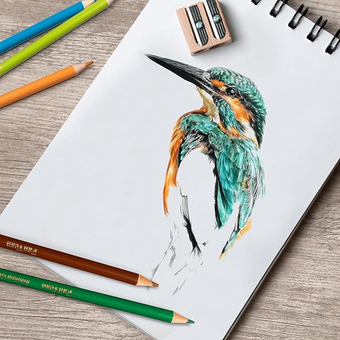 Colored Pencils 50 count Color Pencil for adult Coloring Books Color Pencils Set Ideal for Drawing Blending Shading,Gift for Mothers Adults Beginners