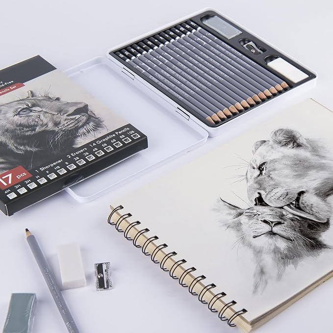 Brusarth Professional Sketch Pencils for Drawing Set - Graphite Pencils (4H-10B), Graphite Sticks, Erasers and Sharpener, Art Pencils for Sketching- Ideal for Artists and Beginners,17Pcs