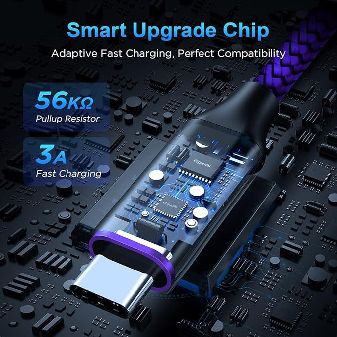 etguuds Purple Long USB A to USB C Cable 10ft, 2-Pack Fast Charging Type C Charger Cord for iPhone 17 16 15 Pro Max Plus Air 16e, Samsung Galaxy S25 S24 S23 S22 S21 S20 Note 20 A17 A16 A15 A26 A36 A56