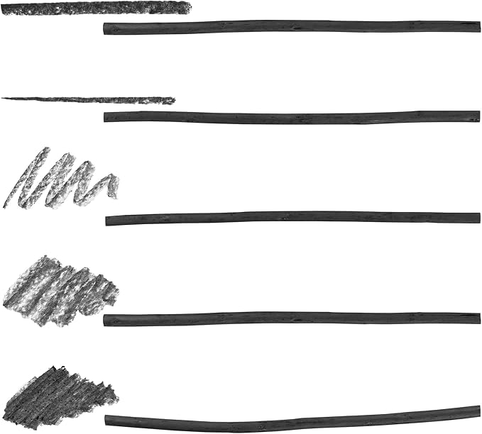Pacific Arc 2 Pack Artist Vine Charcoal, Medium, Black 4 Charcoal Sticks for Drawing, Sketching, and Fine Art …