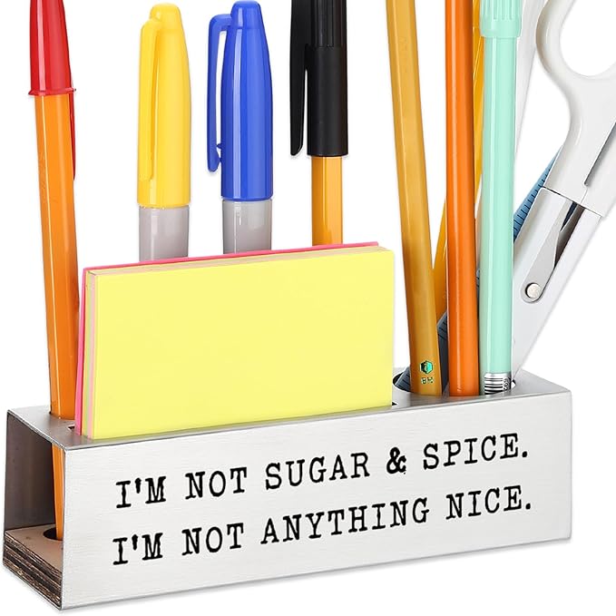 Funny Office Desk for Women, I’M NOT SUGAR & SPICE. I’M NOT ANYTHING NICE, Sarcastic Workplace Humor Gift for Sassy Coworkers & Friends, joke Gift, Office Pencil Holder for Desk SD284