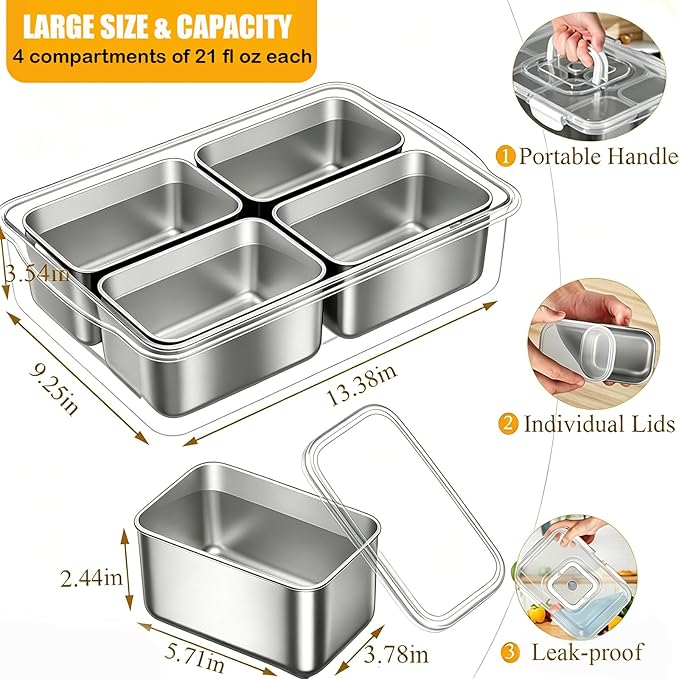 Snackle Box Container, Stainless Steel Snack Tray with Lid and Handle, 4-Compartment Divided Serving Tray for Fruit Veggie Candy, Large Snack Platter for Travel Party Beach Picnic
