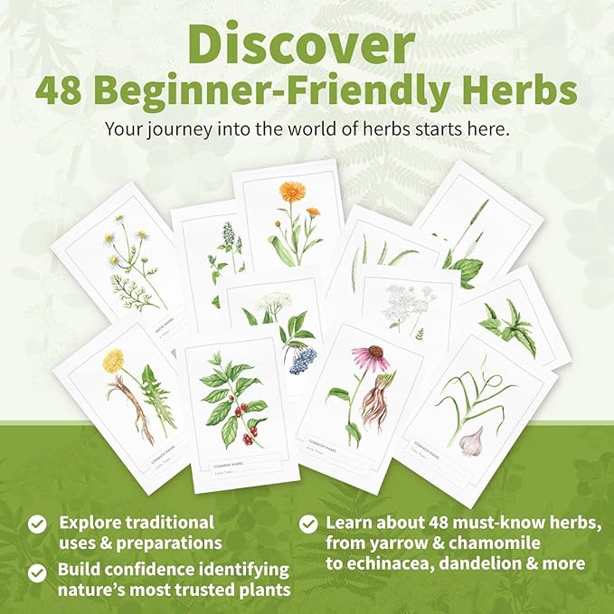 Herb Notes Flash Cards – Educational Plant Learning Cards with Botanical Illustrations – 48-Card Set for Plant Identification, Nature Study & Classroom Learning