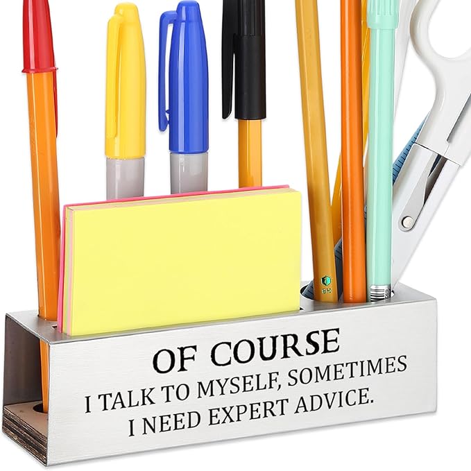 Of Course I Talk to Myself Sometimes I Need Expert Advice,Sarcastic Office Humor Gift for Coworkers Professionals Entrepreneurs, Office Pencil Holder for Desk SD287