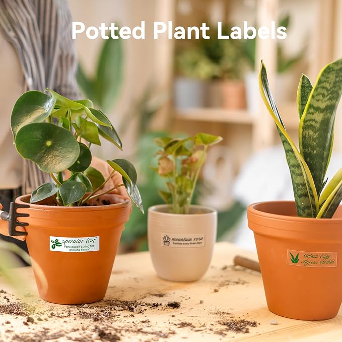 NIIMBOT Plant Label 13×45mm (0.51'' x 1.77''), Only for N1(B18) Label Maker | Suitable for Outdoor Indoor Plant Potted Tag, PET Material, Long Storage, Waterproof and High-Temperature Resistance, Clear